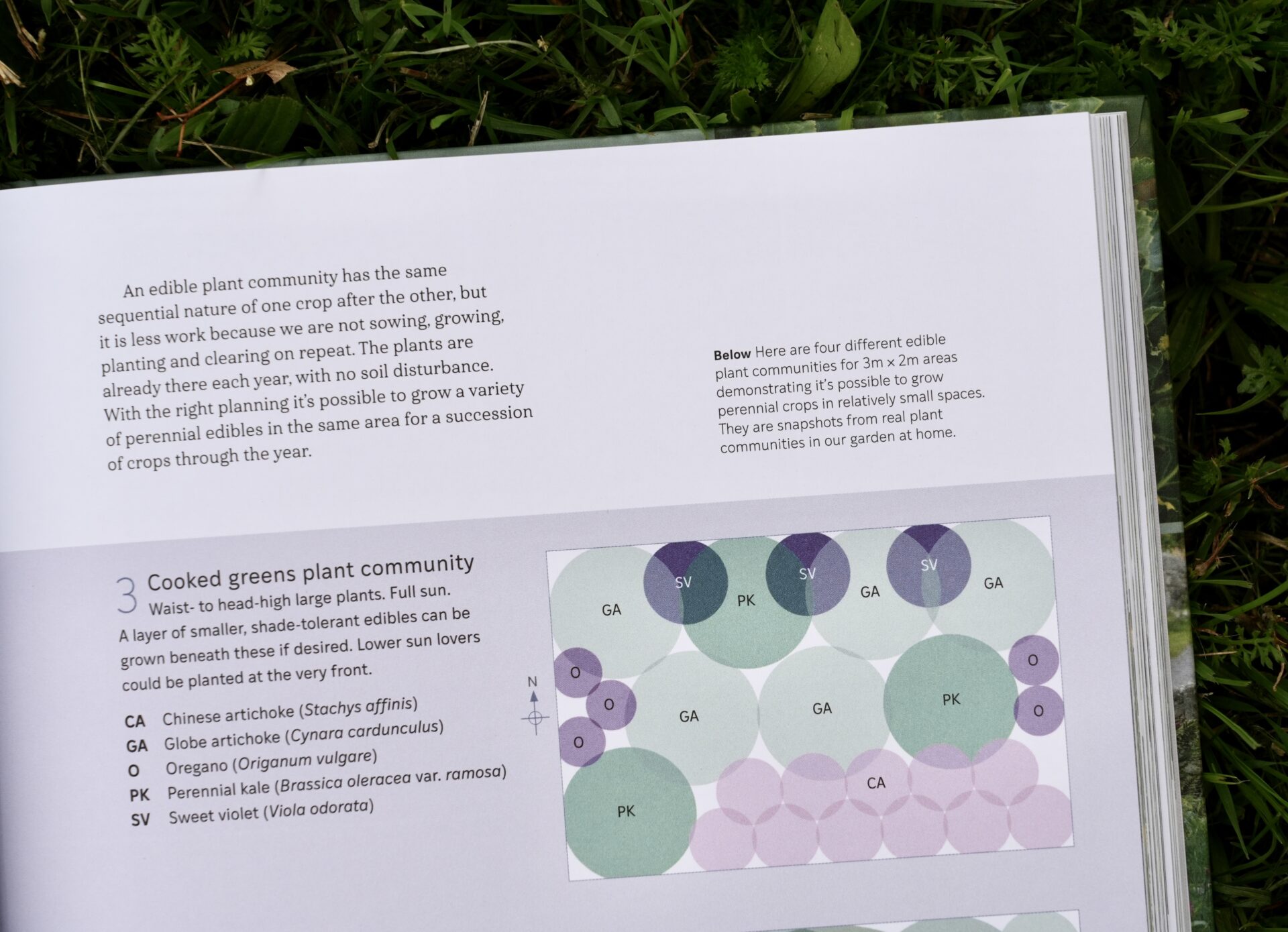 Grower Gatherer: edible perennials to grow and forage in your garden (signed copy) - Image 4