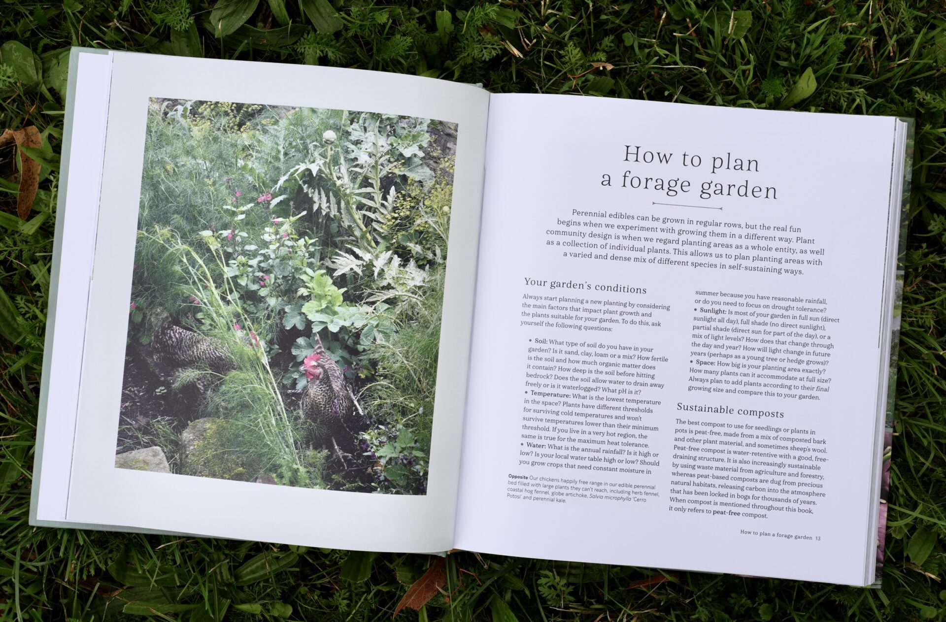 Grower Gatherer: edible perennials to grow and forage in your garden (signed copy) - Image 2