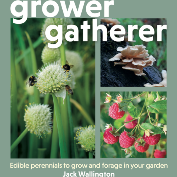 Grower Gatherer: edible perennials to grow and forage in your garden (signed copy)
