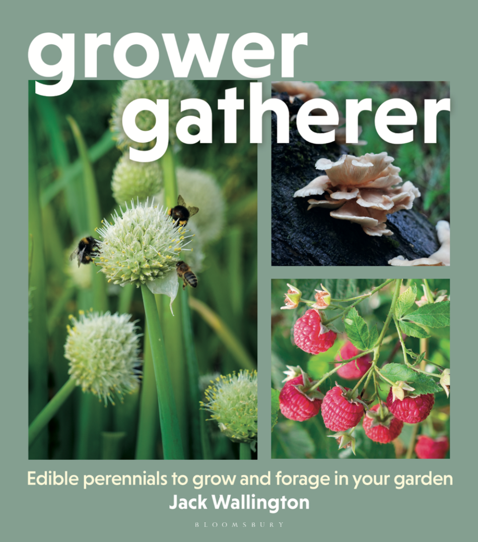 Grower Gatherer: edible perennials to grow and forage in your garden (signed copy)