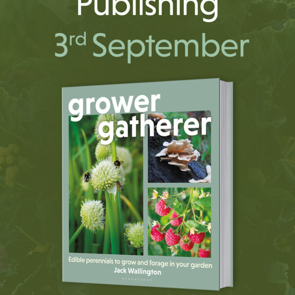 Grower Gatherer: edible perennials to grow and forage in your garden