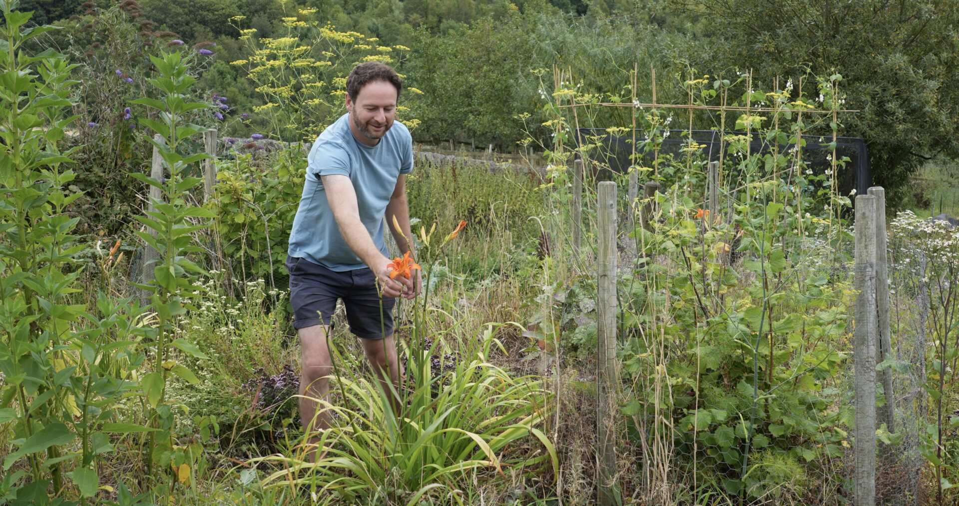 How to design a beautiful edible garden