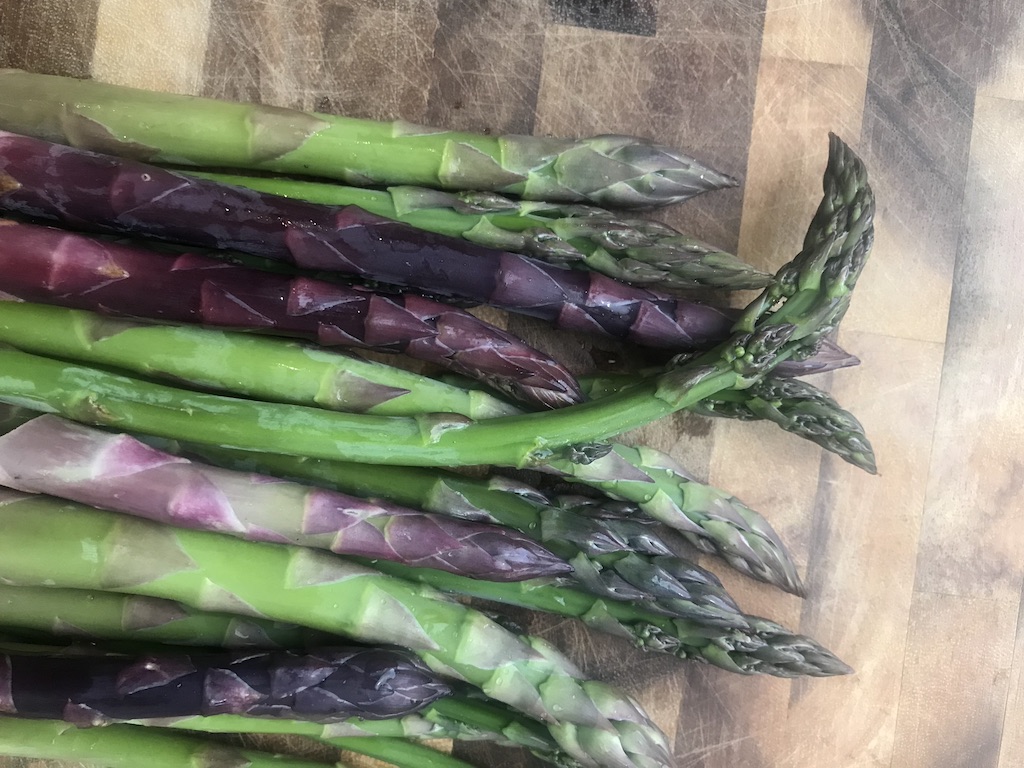 Edible perennial food asparagus 
