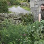 What is perennial food growing?