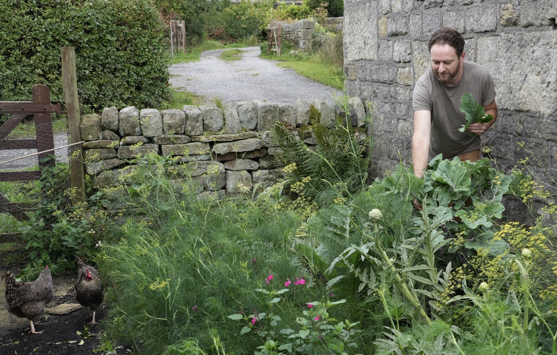 What is perennial food growing?