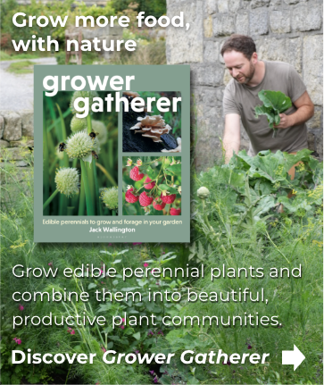 Grower Gatherer: edible perennials to grow and forage in your garden by Jack Wallington