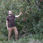 What is a food forest? How to grow an edible forest garden